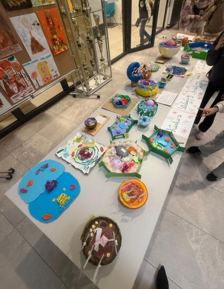 Wyniki konkursu ''Kreatywny model komórki 3D''